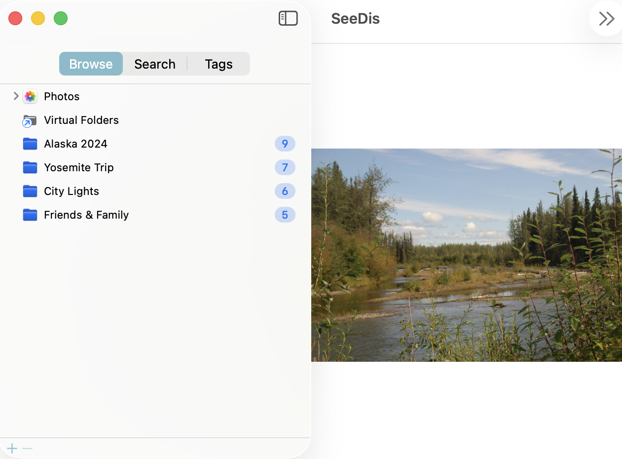 A single image filling the center pane, ready for arrow-key navigation.