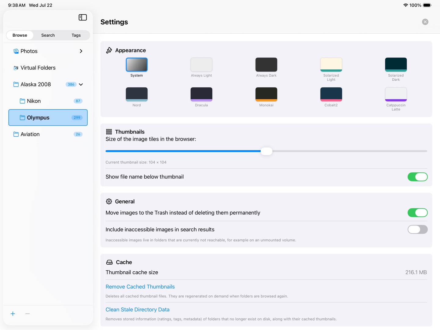 The SeeDis settings on iPad showing the theme picker.